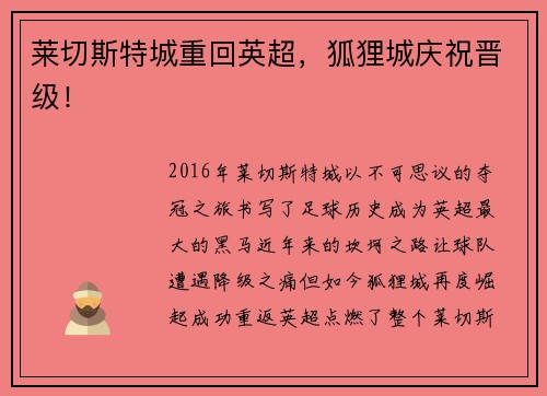 莱切斯特城重回英超，狐狸城庆祝晋级！